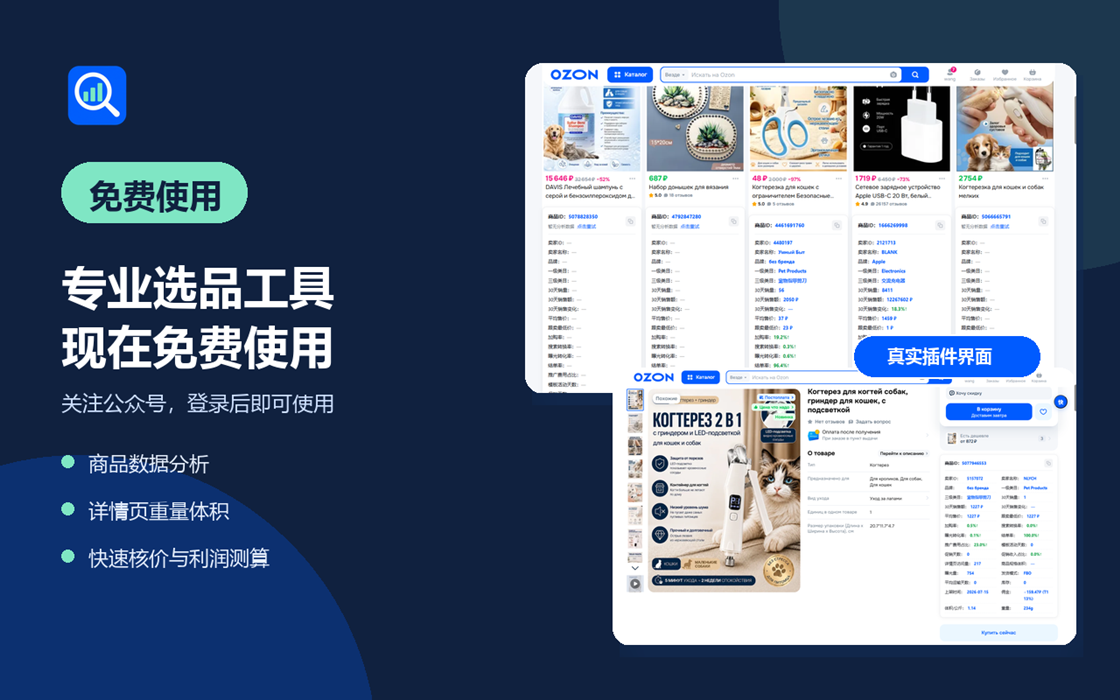 Ozon选品助手主界面